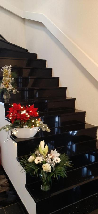 Ferienwohnung Im Gruenen Muldental Langenbach  ภายนอก รูปภาพ