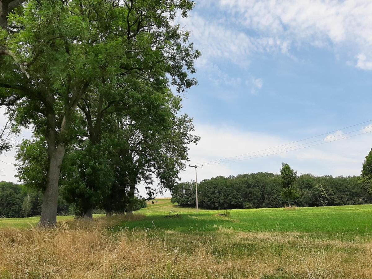 Ferienwohnung Im Gruenen Muldental Langenbach  ภายนอก รูปภาพ
